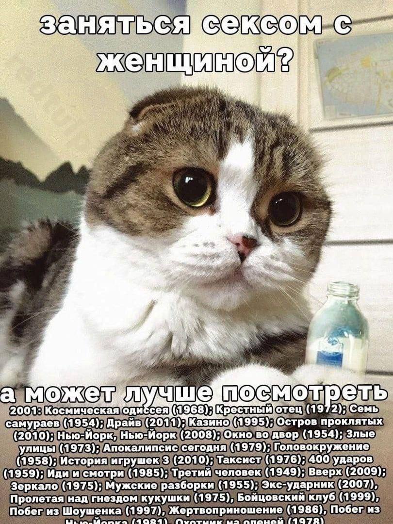 Разбираешься в кино? Пошел нахуй