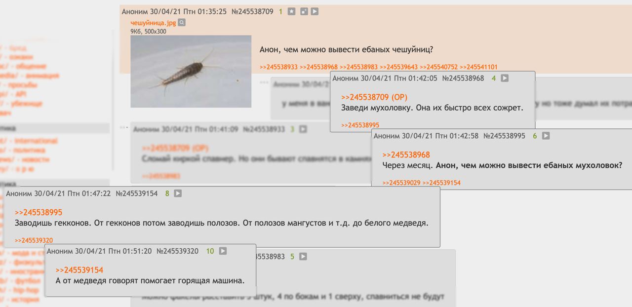 Аноним 30/04/21 Птн 01:35:25 №245538709 1 чешуйница. jpg 4 AHOH, чем можно вывести ебаных чешуйниц? >>245538933 >>245538968 >>245538983 >>245539643 >>245540752 >>245541101 Аноним 30/04/21 Птн 01:42:05