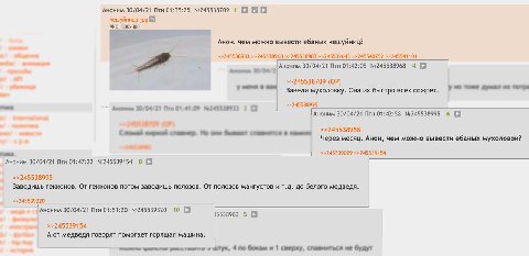 Аноним 30/04/21 Птн 01:35:25 №245538709 1 чешуйница. jpg 4 AHOH, чем можно вывести ебаных чешуйниц? >>245538933 >>245538968 >>245538983 >>245539643 >>245540752 >>245541101 Аноним 30/04/21 Птн 01:42:05
