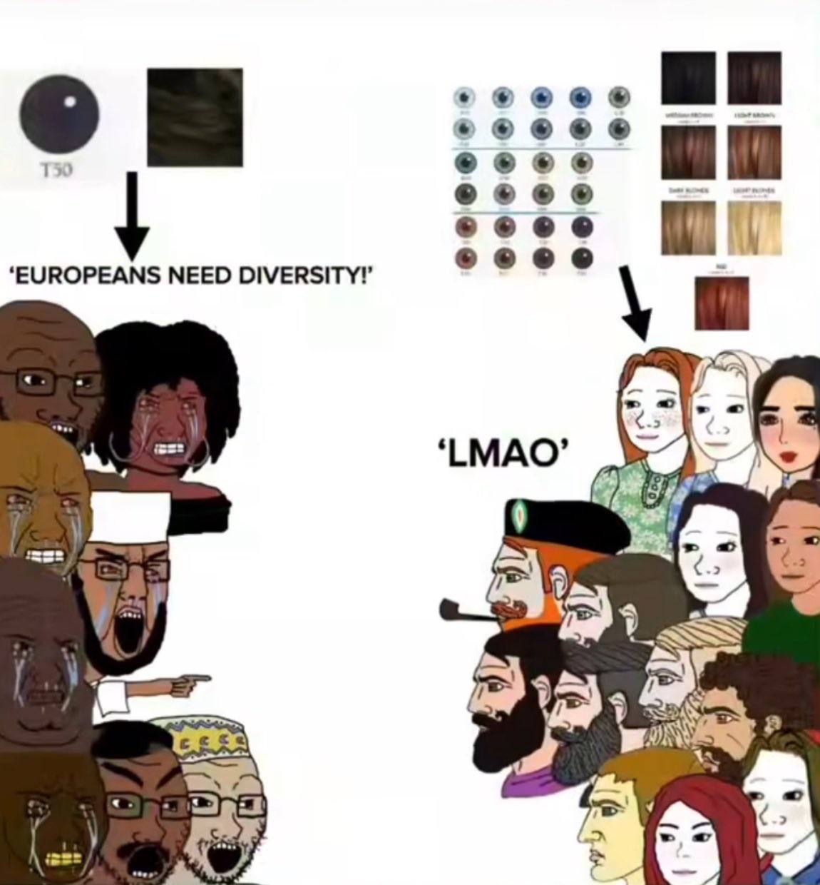 ‘EUROPEANS NEED DIVERSITY!’ ‘LMAO’ a 5
