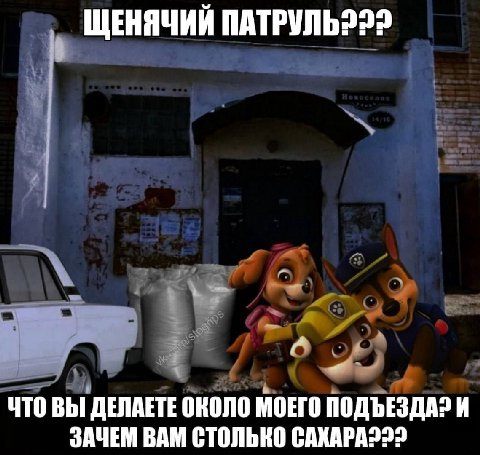ЩЕНЯЧИЙ ЧТО ВЫ ДЕЛАЕТЕ МОЕГО ПОДЪЕЗДА? И ЗАЧЕМ ВАМ СТОЛЬКО САХАРА222