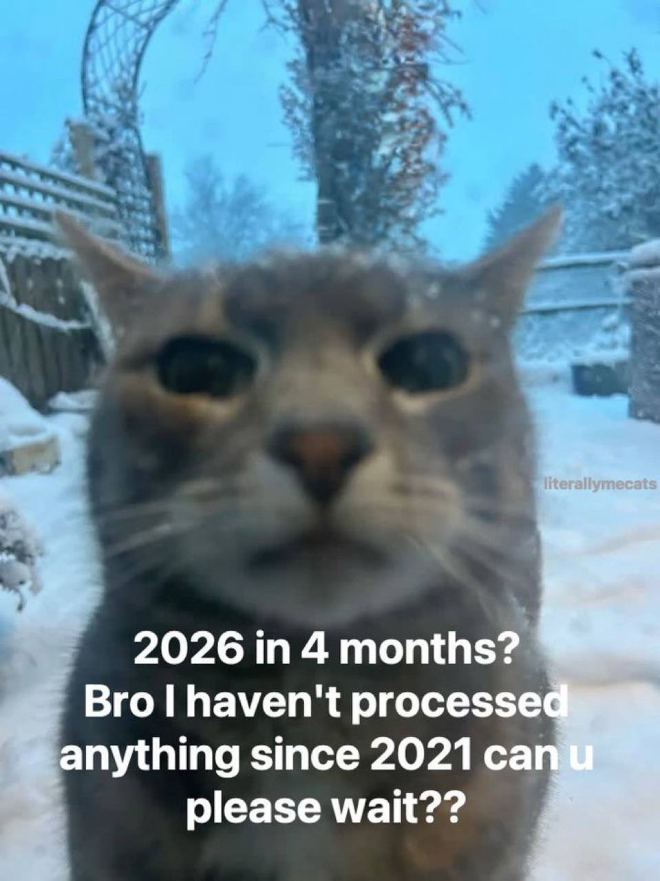 2026 4 months? Bro haven't process anything since 2021 please wait??