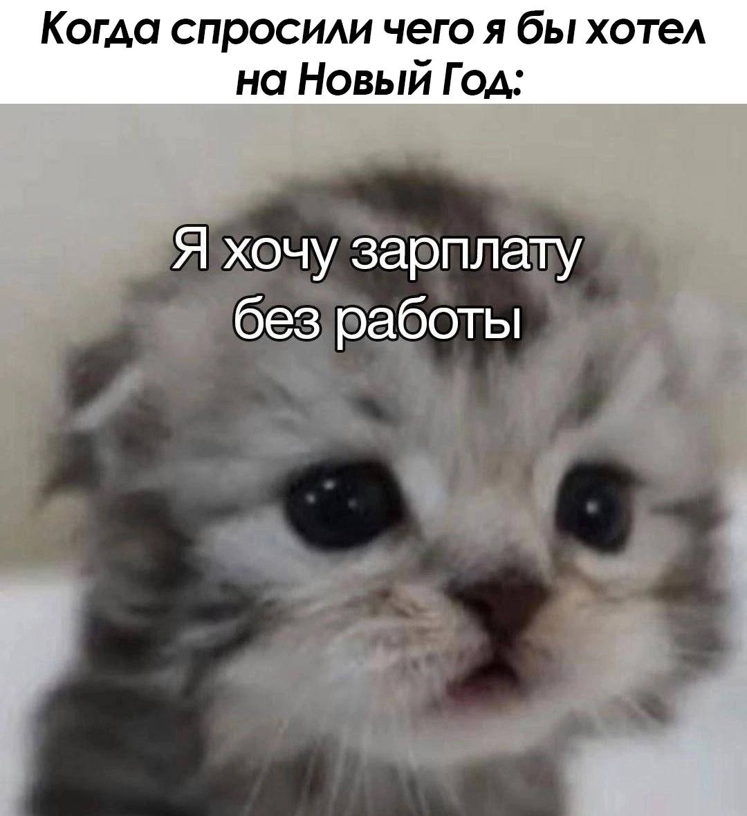 Когда спросили чего я бы хотел на Новый Год: хочу зарплату без работы