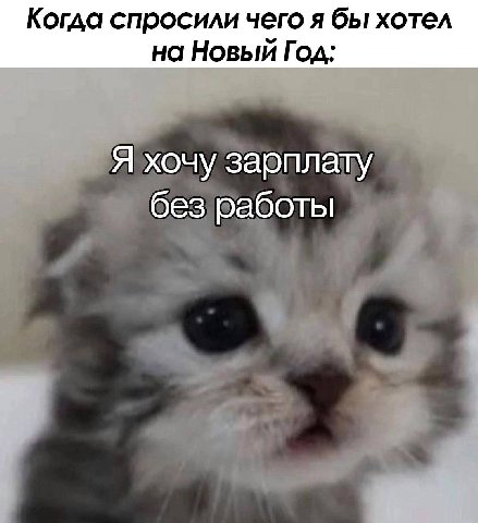 Когда спросили чего я бы хотел на Новый Год: хочу зарплату без работы