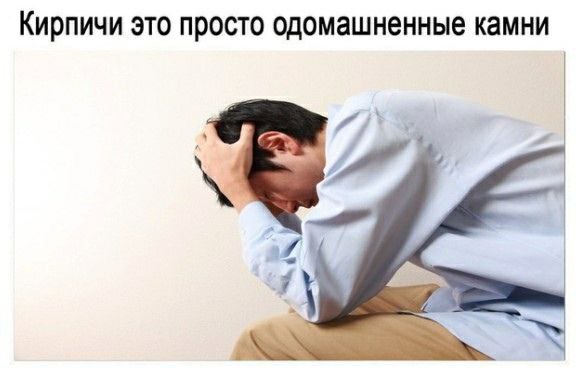 Кирпичи это просто одомашненные камни