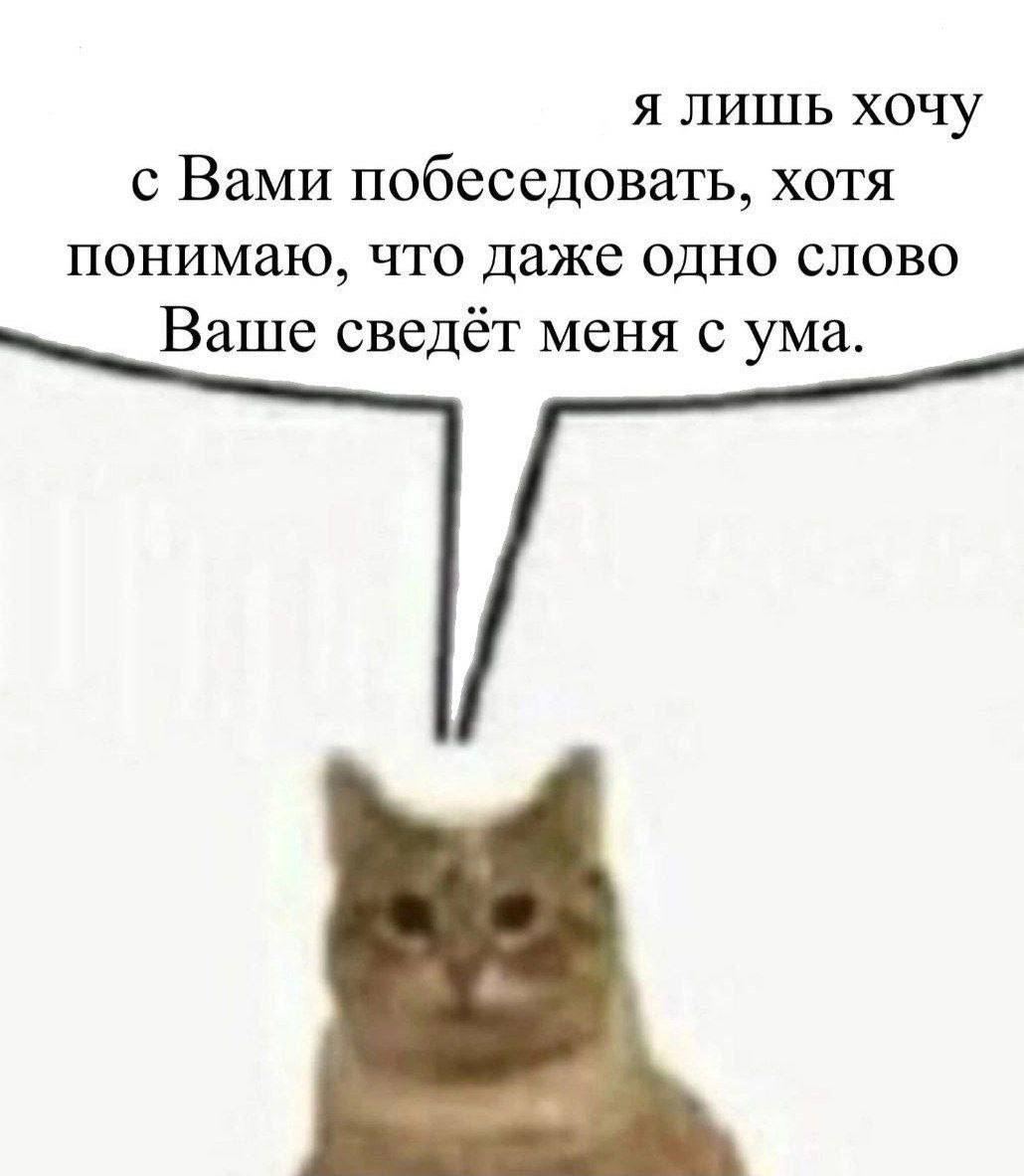 я лишь хочу с Вами побеседовать, хотя понимаю, что даже одно слово Ваше сведёт меня с ума.