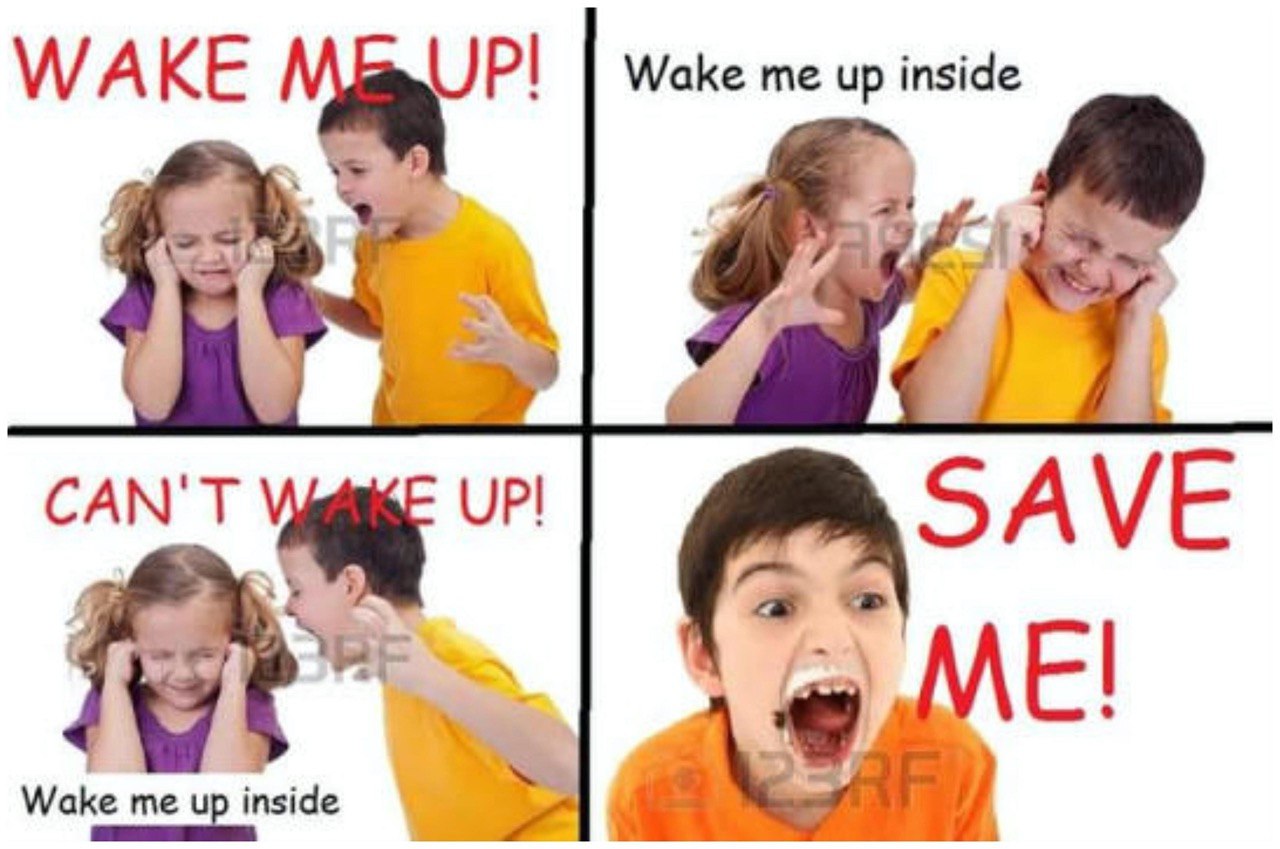 wake me up inside
