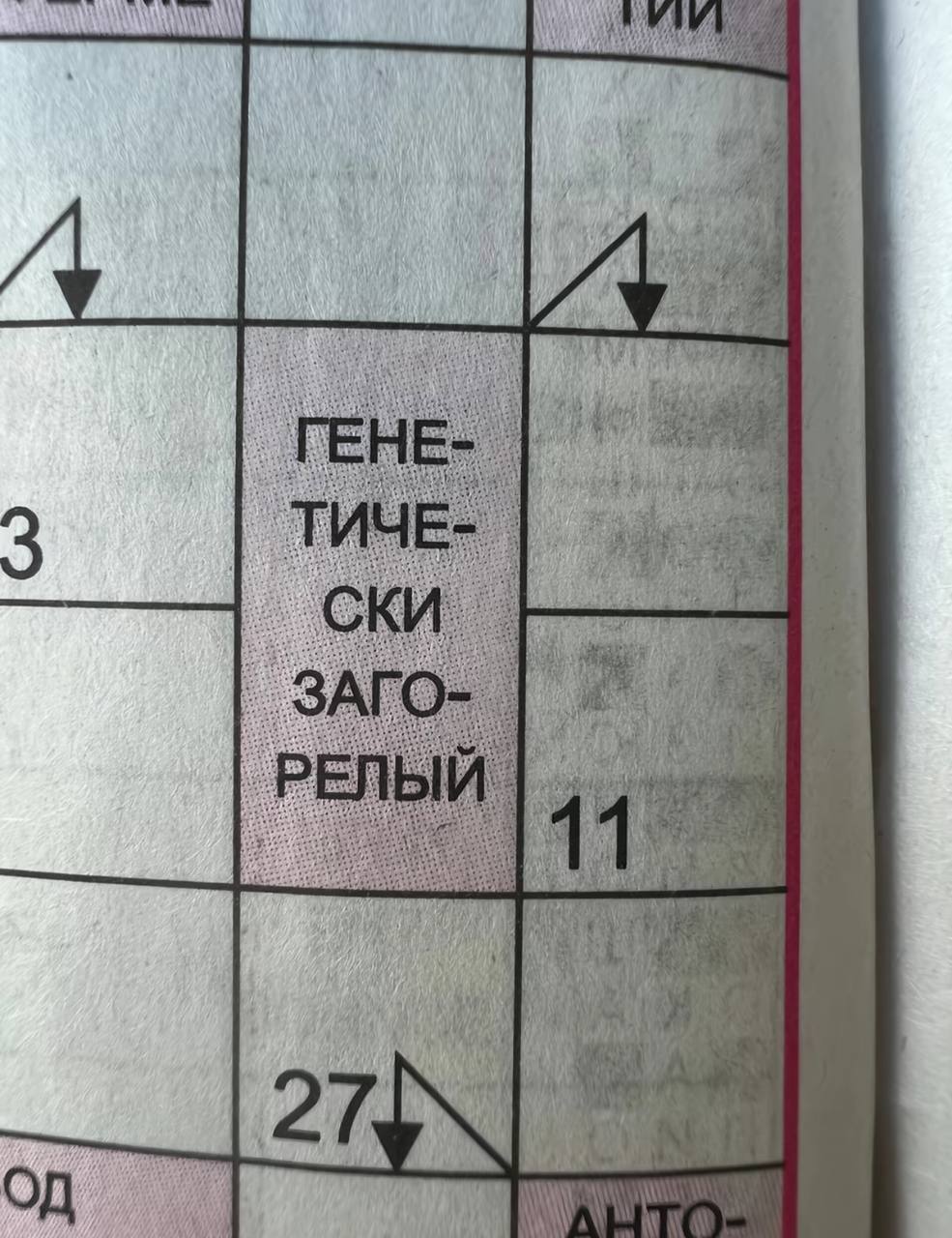 i ViVi Я 4 у 4 4 i СКИ_ 144 4 А