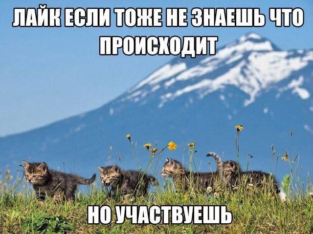 ЛАЙК ЕСЛИ ТОЖЕ НЕ ЗНАЕШЬ ЧТО aig" УЧАСТВУЕШЬ