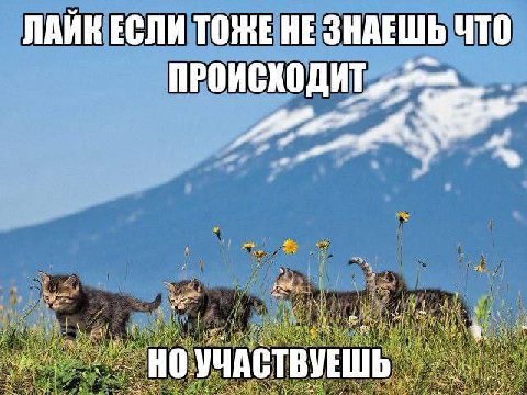 ЛАЙК ЕСЛИ ТОЖЕ НЕ ЗНАЕШЬ ЧТО aig" УЧАСТВУЕШЬ