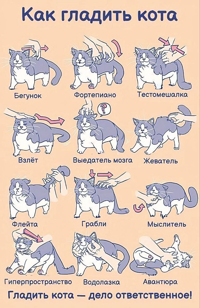 Как гладить кота Бегунок Фортепиано Тестомешолка Взлет Выедотель мозга. Жеватель Флейта Грабли Мыслитель 4 Водолазка Авантюра Гладить кота дело ответственное!