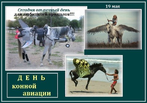 19 мая Сегодня отличный день длялюби елей приколов!!! конной авиации