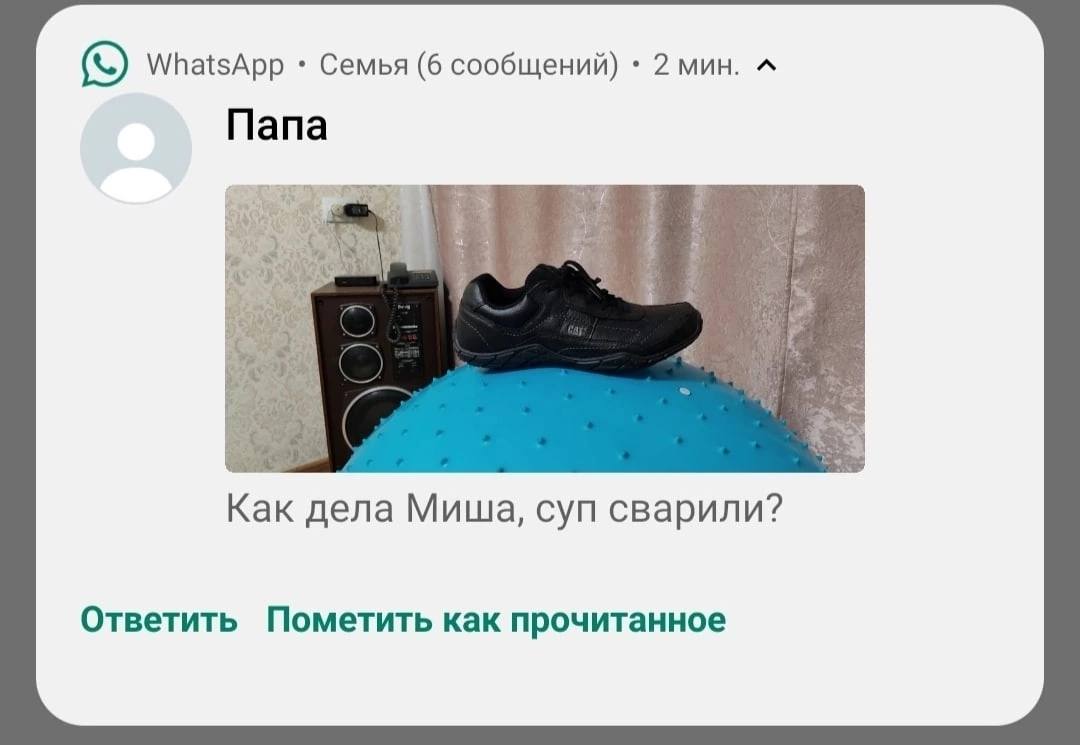 WhatsApp Семья (6 сообщений) 2 мин. A Папа Как дела Миша, суп сварили? Ответить Пометить как прочитанное