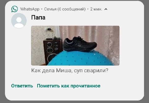 WhatsApp Семья (6 сообщений) 2 мин. A Папа Как дела Миша, суп сварили? Ответить Пометить как прочитанное