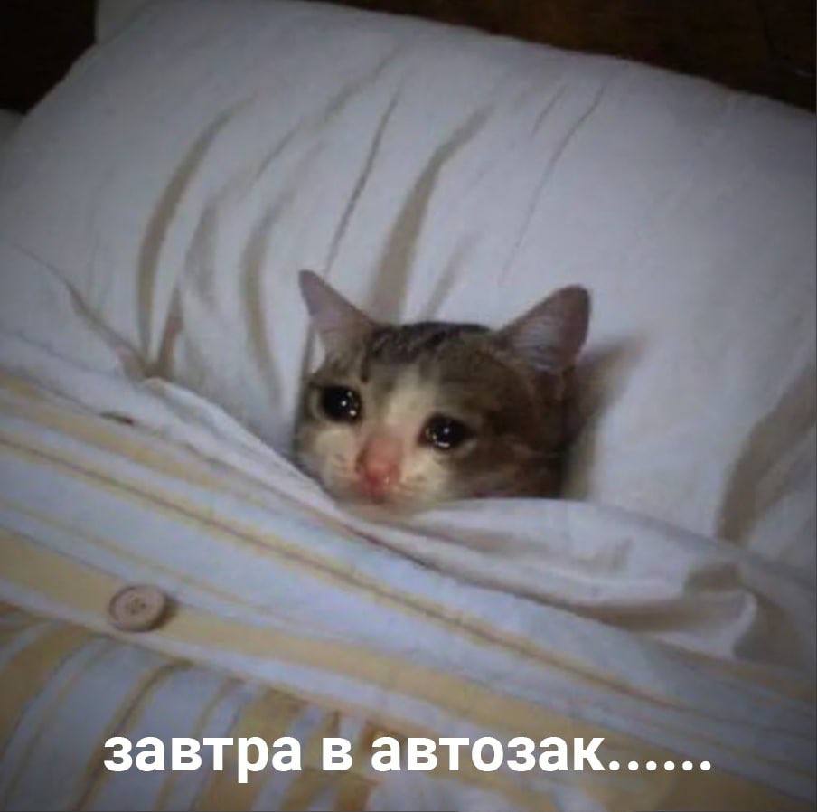 Отпевание Алексея Навального состоится завтра в Москве в храме «Утоли моя печали» в Марьино в 14:00. Похороны пройдут в 16:00 на Борисовском кладбище 

Возложение цветов по всему миру в 19:00 по местн