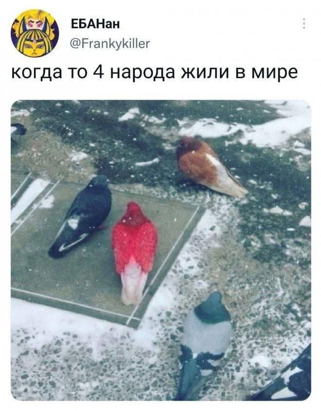 ЕБАНан @Frankykiller когда то 4 народа жили в мире 7 у 4 A 4 74 3 4 У a,