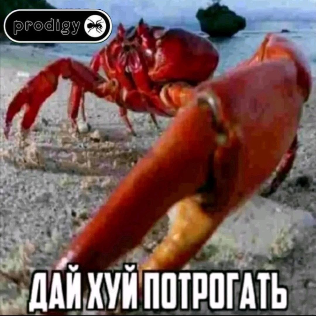 ДАЙХУЙ ПОТРОГАТЬ