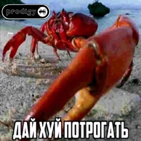 ДАЙХУЙ ПОТРОГАТЬ