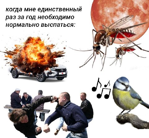 когда мне единственный раз за год необходимо нормально выспаться: 2 i