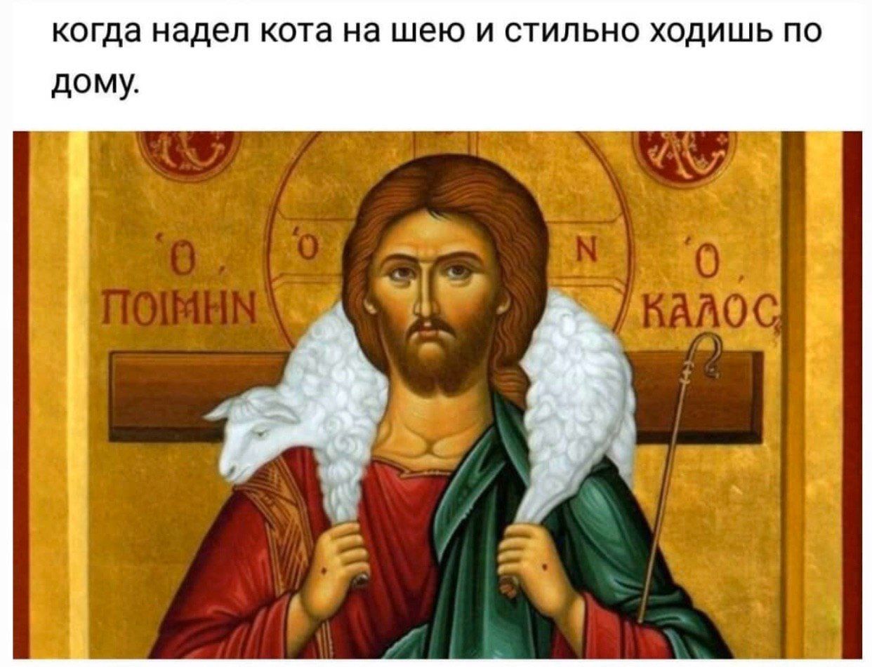 когда надел кота на шею и стильно ходишь по дому.