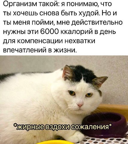 Организм такой: я понимаю, что ты хочешь снова быть худой. Но и ты меня пойми, мне действительно нужны эти 6000 ккалорий в день для компенсации нехватки впечатлений в жизни.