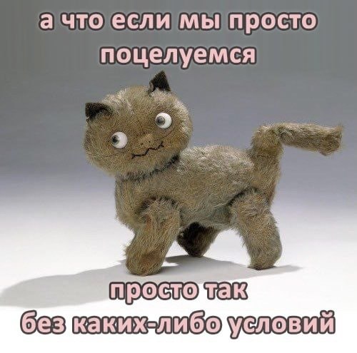 а что если мы просто поцелуемся VOOM