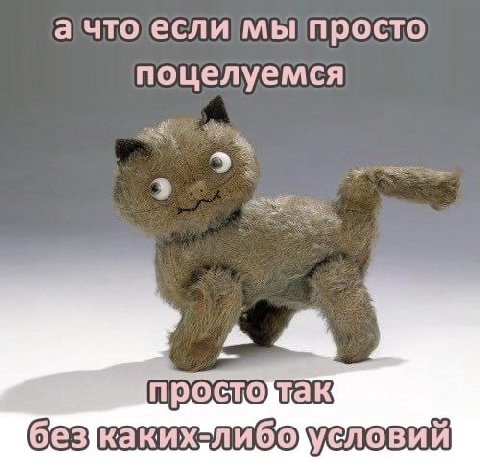 а что если мы просто поцелуемся VOOM