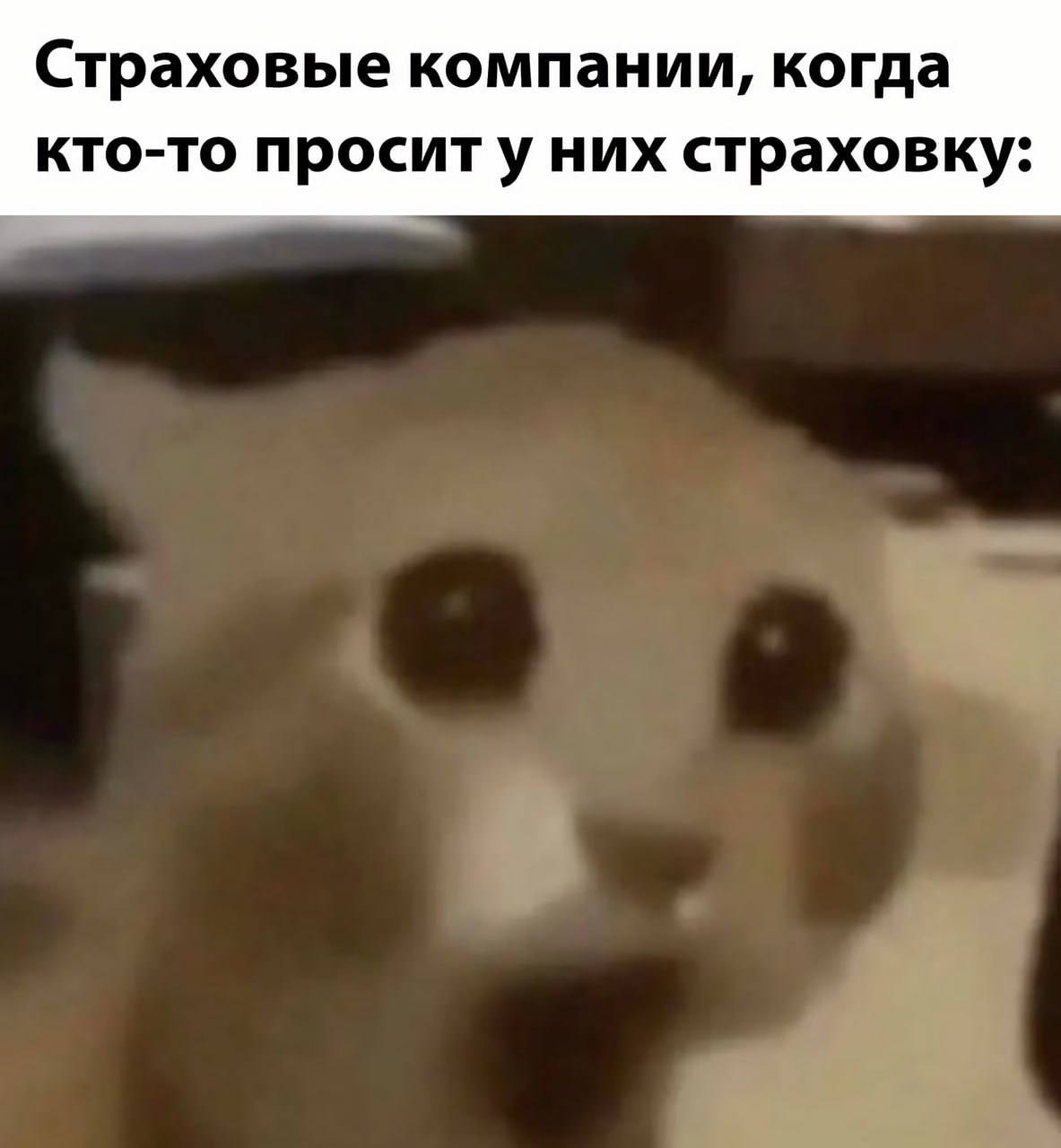Страховые компании, когда кто-то проситу них страховку: