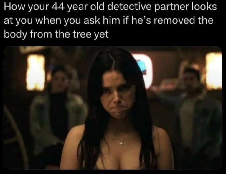 How your 44 year old detective partner looks at you when you ask him if he’s removed the body from the tree yet