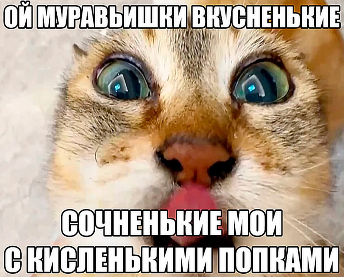 ВКУСНЕНЬКИЕ