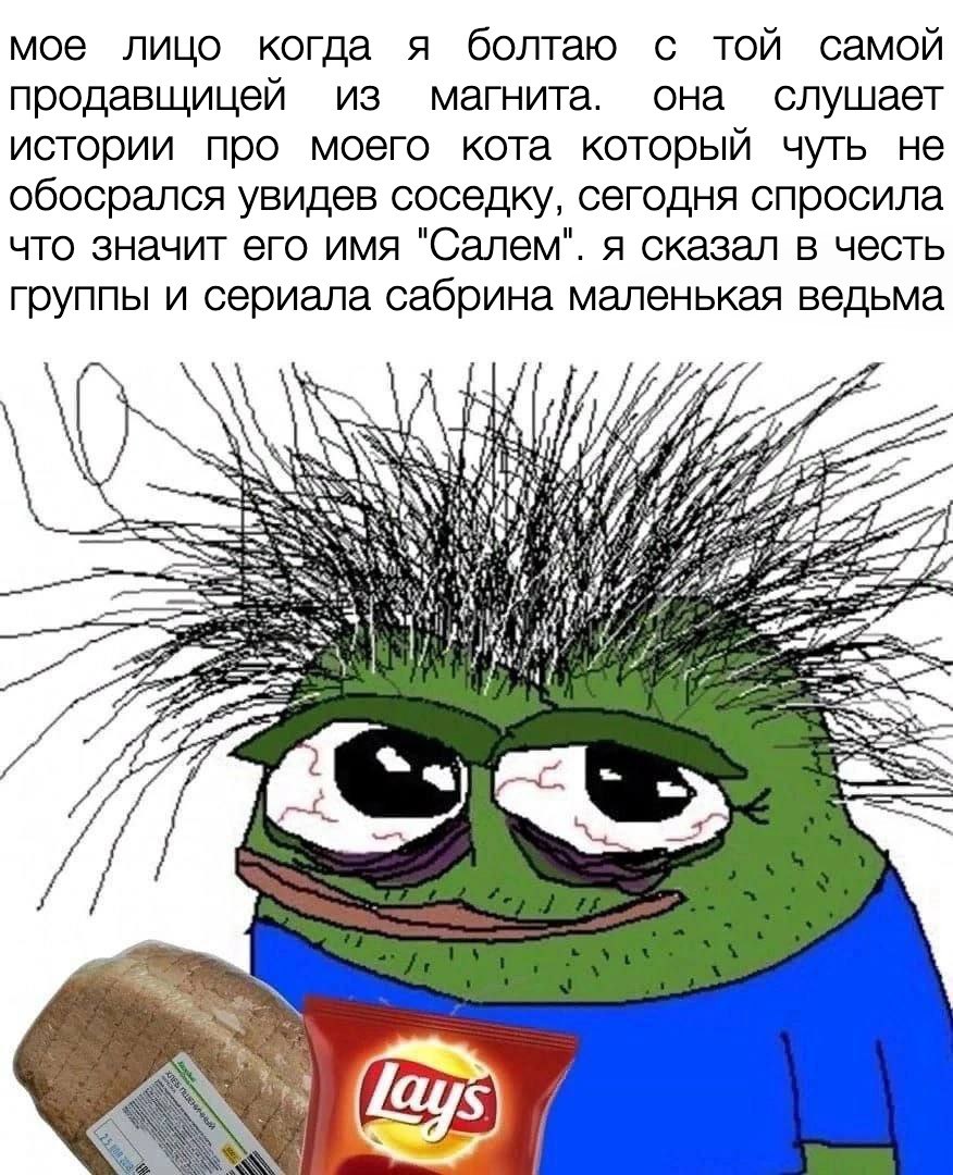 мое лицо когда я болтаю с той самой продавщицей из магнита. она слушает истории про моего кота который чуть не обосрался увидев соседку, сегодня спросила что значит его имя "Салем". я сказал в честь г