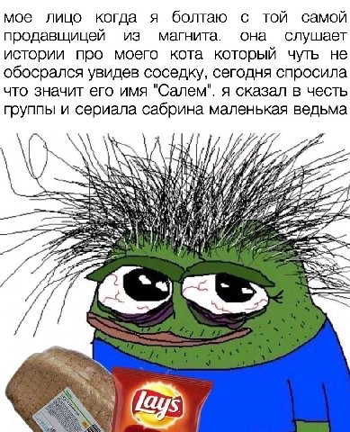 мое лицо когда я болтаю с той самой продавщицей из магнита. она слушает истории про моего кота который чуть не обосрался увидев соседку, сегодня спросила что значит его имя "Салем". я сказал в честь г