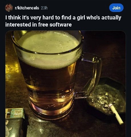 r/kitchencels Join think it's very hard to find a girl who's actually interested in free software