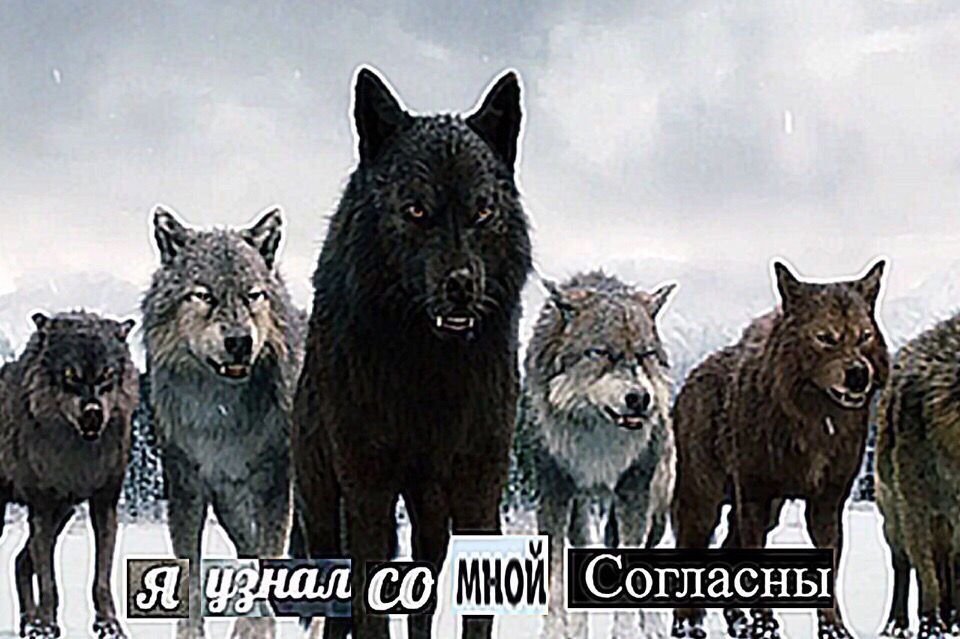 1% Согласны 4