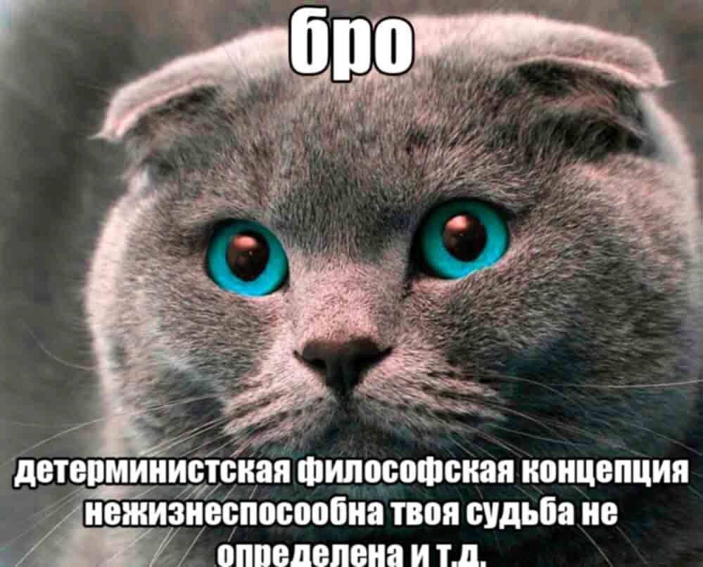 if детерминистская философская концепция нежизнеспосообна твоя судьба не оппеделена итд.
