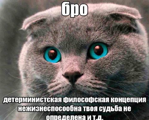if детерминистская философская концепция нежизнеспосообна твоя судьба не оппеделена итд.