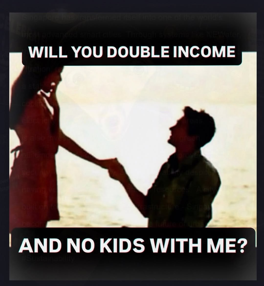 WILL YOU DOUBLE INCOME AND NO KIDS WITH ME?