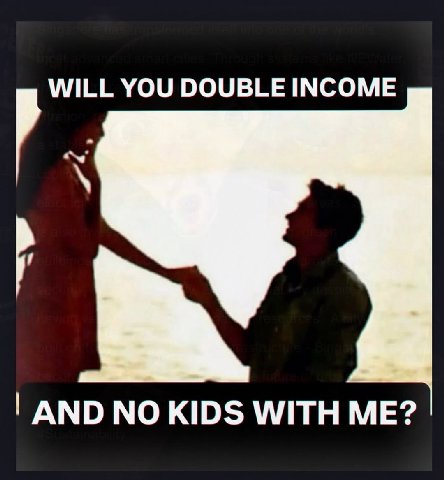 WILL YOU DOUBLE INCOME AND NO KIDS WITH ME?