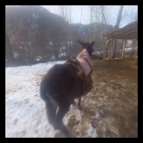 A у к