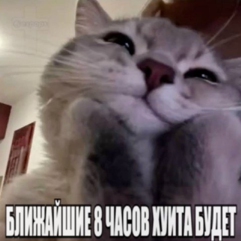 8 ЧАСОВ ХУИТА БУДЕТ