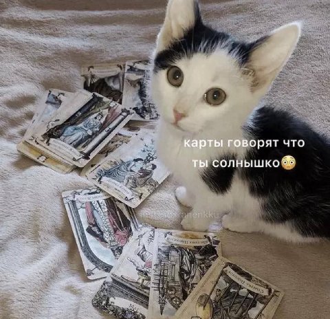 карты говорят что ты солнышко 8%