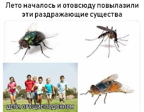 Лето началось и отовсюду повылазили эти раздражающие существа 4