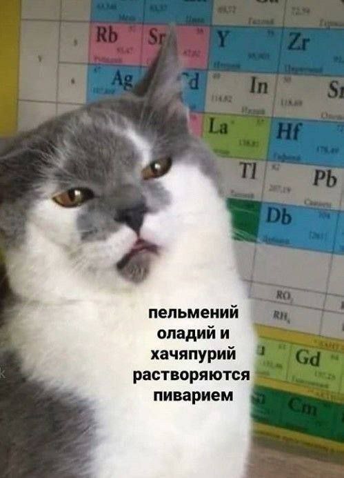 пельмений оладий и хачяпурий растворяются пиварием