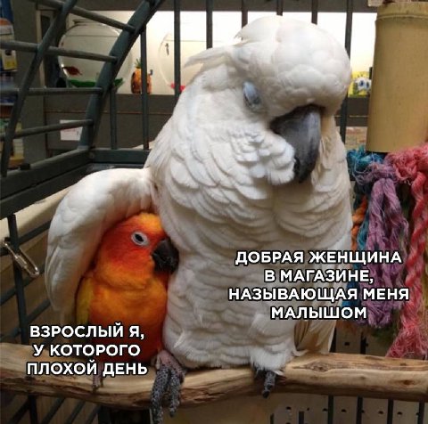 4 ДОБРАЯ ЖЕНЩИНА В МАГАЗИНЕ, НАЗЫВАЮЩАЯ МЕНЯ МАЛЫШОМ ВЗРОСЛЫЙ Я, У КОТОРОГО ПЛОХОЙ ДЕНЬ
