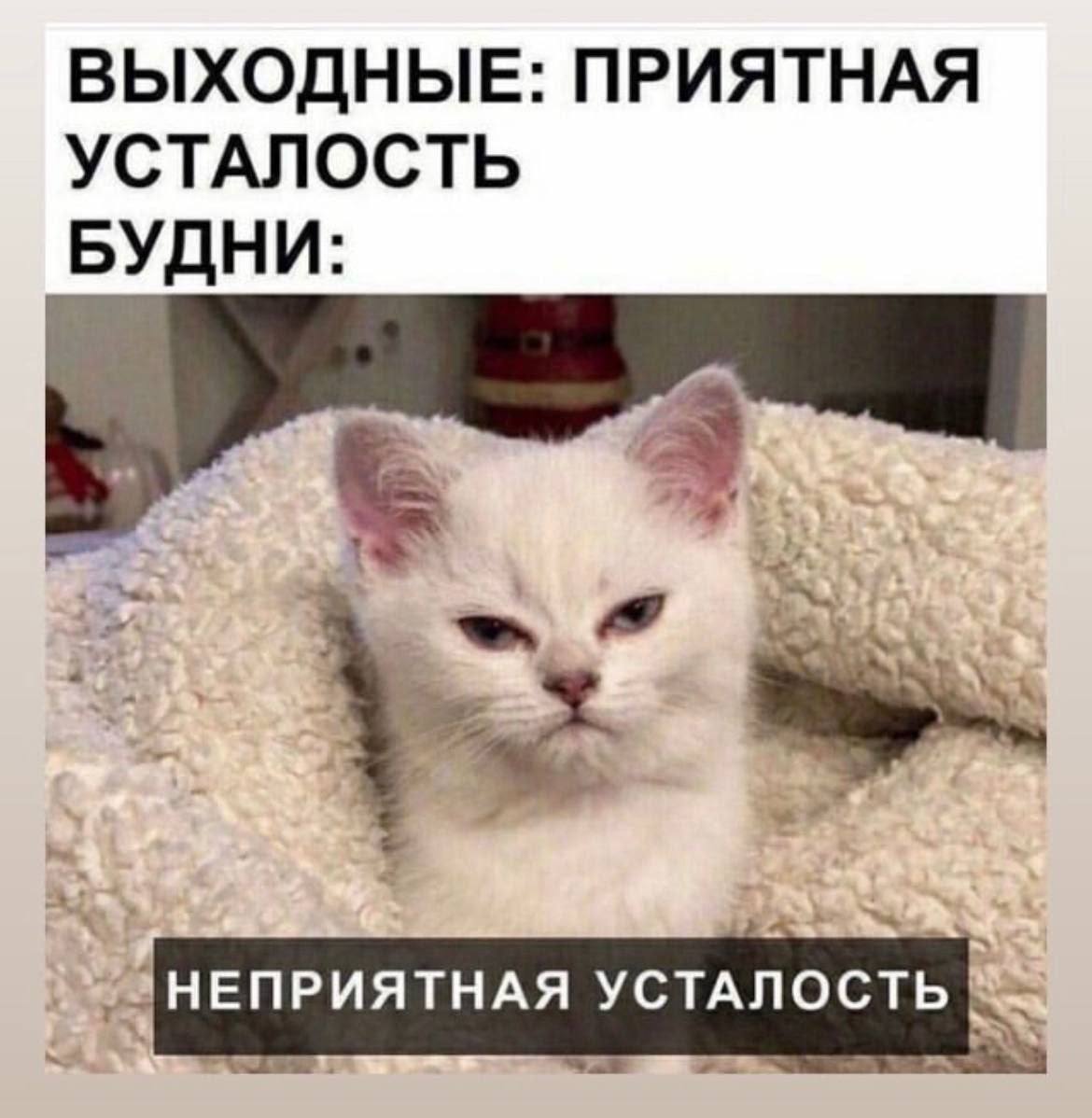 ВЫХОДНЫЕ: ПРИЯТНАЯ УСТАЛОСТЬ БУДНИ: УСТАЛОСТЬ
