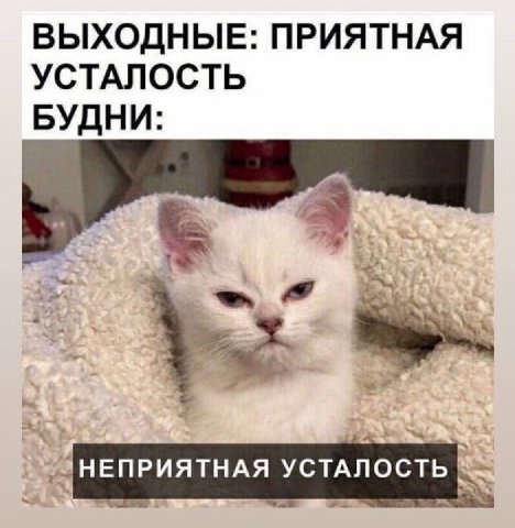 ВЫХОДНЫЕ: ПРИЯТНАЯ УСТАЛОСТЬ БУДНИ: УСТАЛОСТЬ