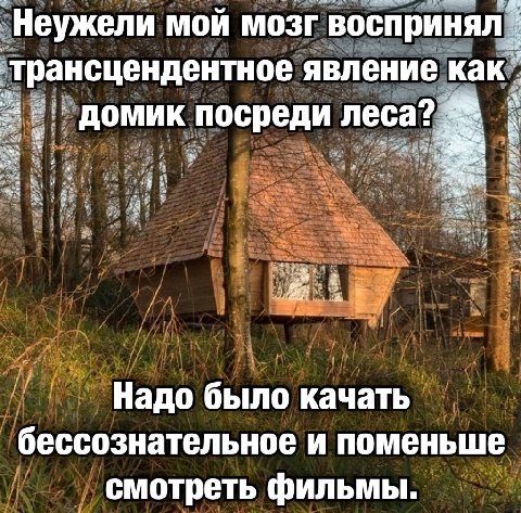 Неужели мой мозг воспринял трансцендентное явление как домик посреди леса? Res Надо было качать бессознательное и поменьше смотреть фильмы.