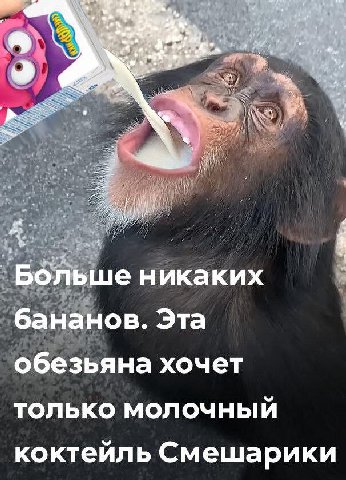 a $4 Больше никаких бананов. Эта обезьяна хочет только молочный коктейль Смешарики