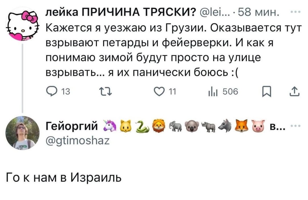 лейка ПРИЧИНА ТРЯСКИ? 58 мин. Кажется я уезжаю из Грузии. Оказывается тут взрывают петарды и фейерверки. И как я понимаю зимой будут просто на улице взрывать... я панически боюсь 18 11 tlt 506 Гейорги