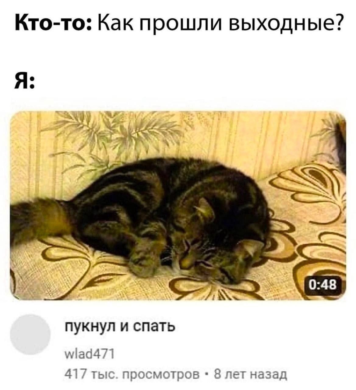 Кто-то: Как прошли выходные? Я: 2 у пукнул и спать wlad471 417 тыс. просмотров 8 лет назад